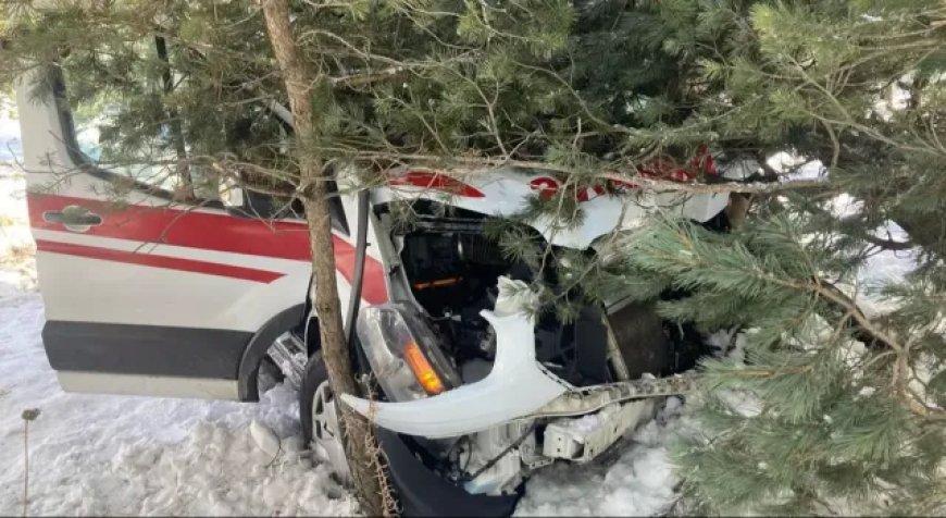 Yoldan Çıkan Ambulans Ağaçlara Çarptı: 3 Sağlık Personeli Yaralandı